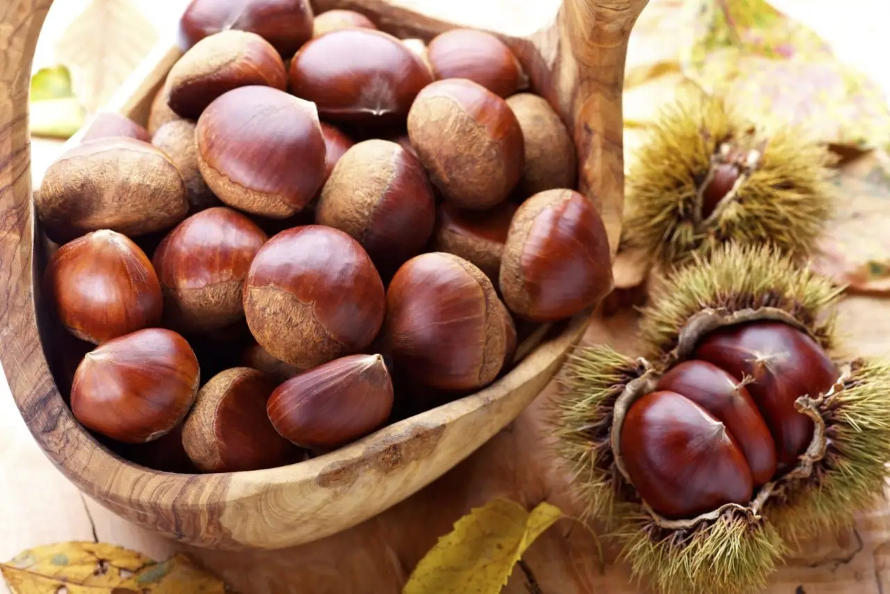 Mangiare castagne: ecco i benefici sottovalutati