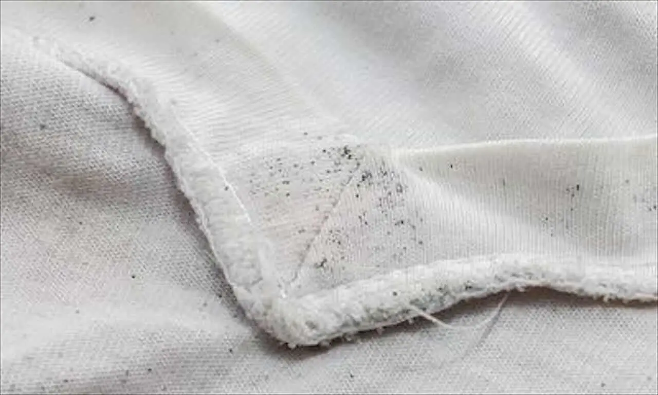 Come eliminare la muffa dai tessuti